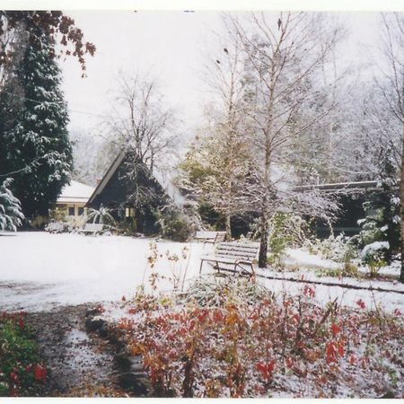 הרייטוויל Mountain View Holiday Retreat מראה חיצוני תמונה