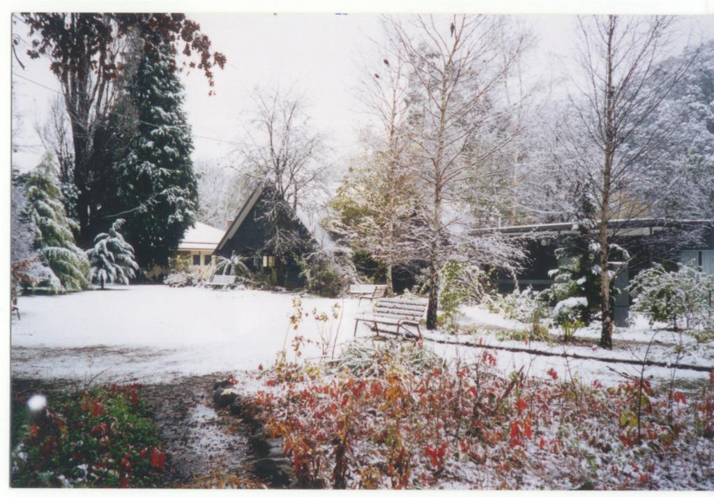הרייטוויל Mountain View Holiday Retreat מראה חיצוני תמונה