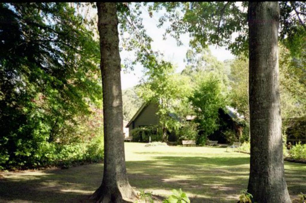 הרייטוויל Mountain View Holiday Retreat מראה חיצוני תמונה