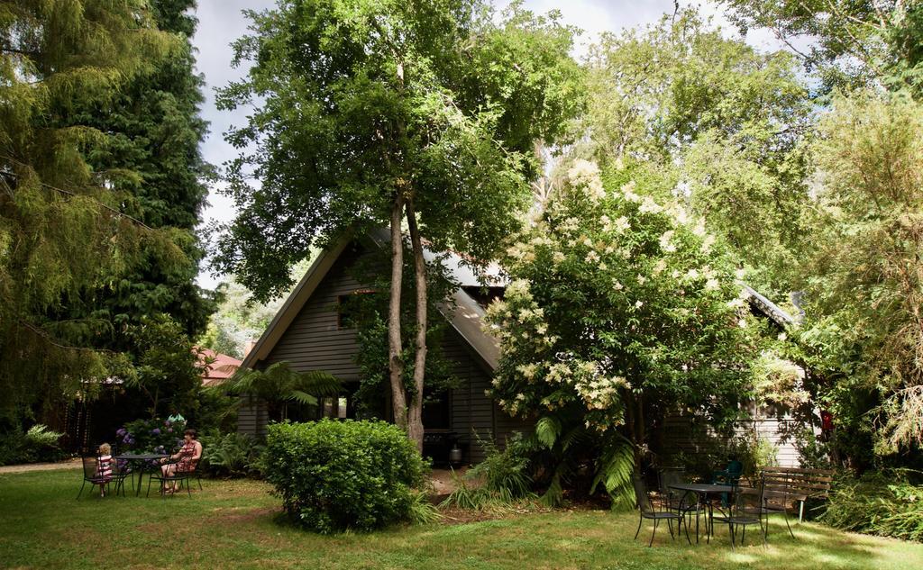 הרייטוויל Mountain View Holiday Retreat מראה חיצוני תמונה